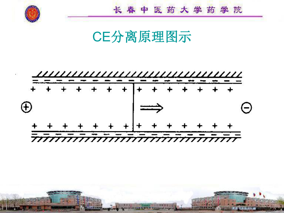 毛细管电泳法课件.ppt_第3页