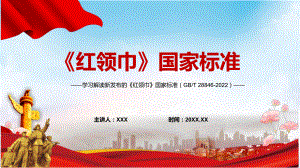 图文专题讲座2022年新发布的《红领巾》国家标准PPT含内容素材.pptx