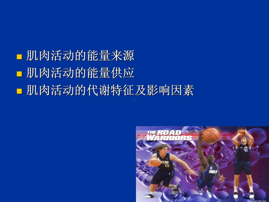 新版运动的能量代谢课件.ppt_第1页