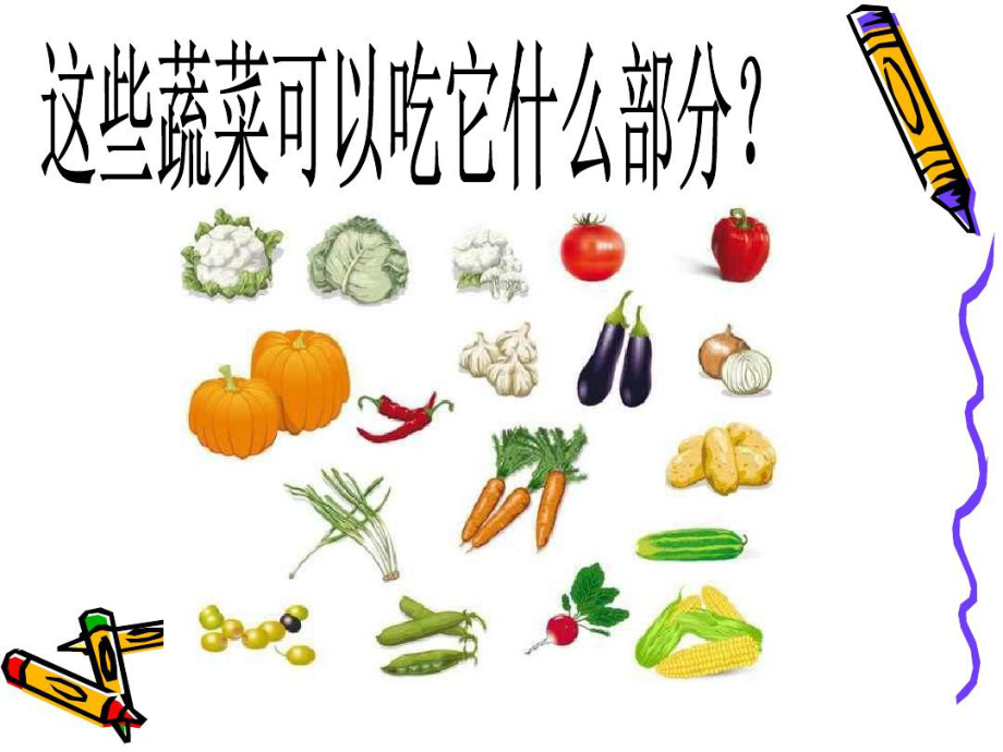 幼儿园大班健康活动：好吃的蔬菜课件.ppt_第2页