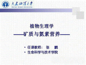 植物体内的必需元素课件.ppt