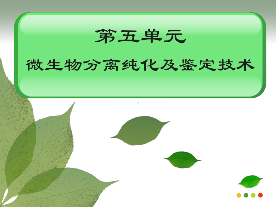 微生物分离纯化及鉴定技术课件.ppt_第1页