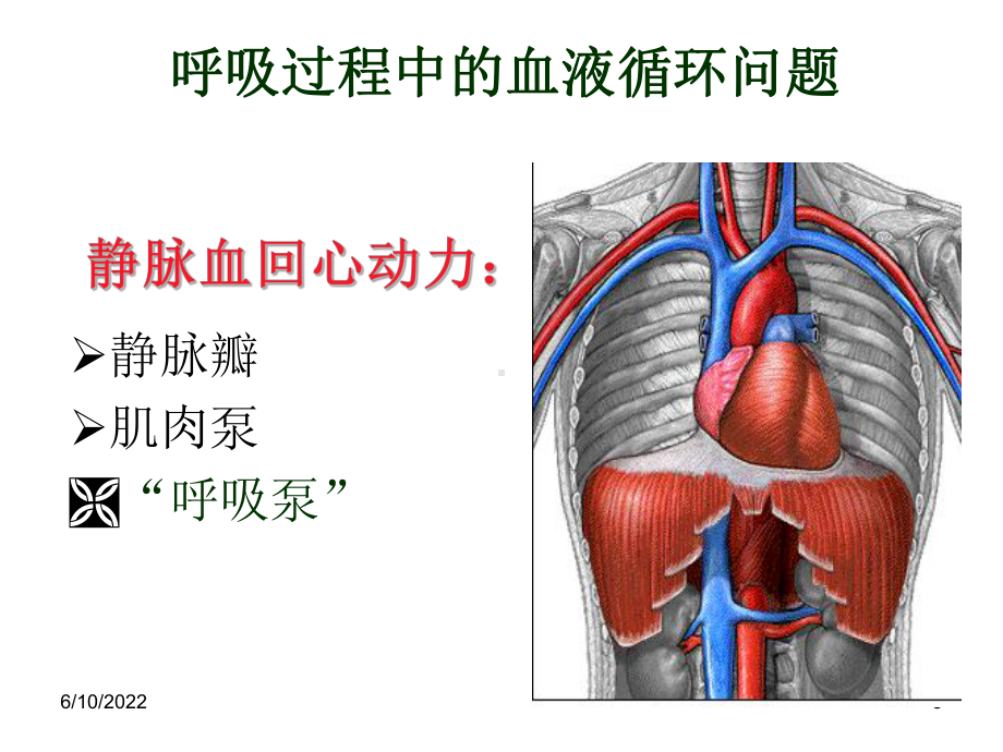 机械通气的模式及参数的设置课件.ppt_第3页