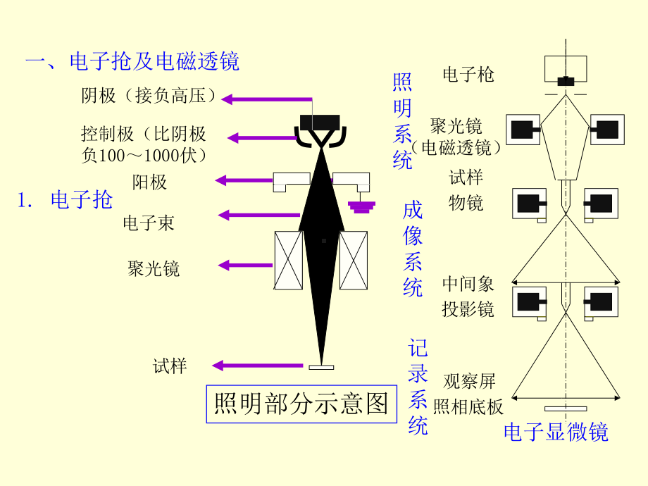 电子显微分析技术课件.ppt_第2页