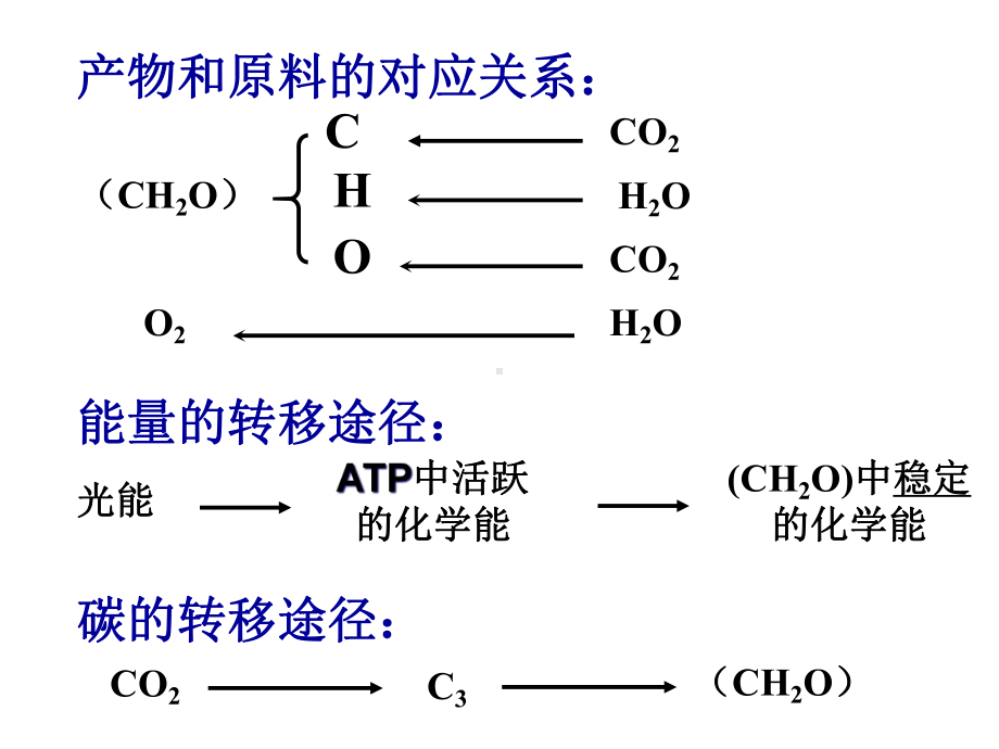 影响光合作用的因素及应用课件.ppt_第3页