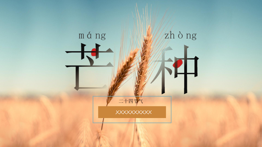 金色丰收传统中国二十四节气芒种节气介绍PPT课件（带内容）.ppt_第1页