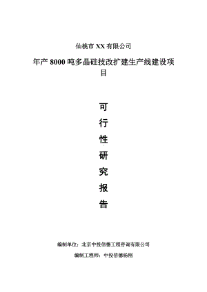 年产8000吨多晶硅技改扩建项目可行性研究报告建议书.doc