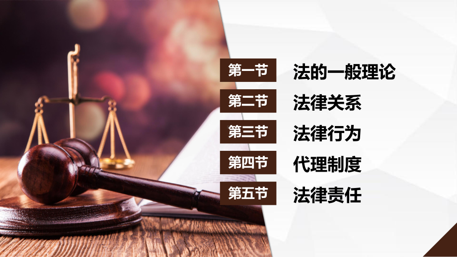 专题扁平风精品普法宣传之法律基础知识培训教学PPT课件模板.pptx_第2页