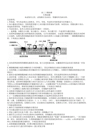 山东省泰安市2022届高三下学期5月三模考试 生物 试题（含答案）.docx