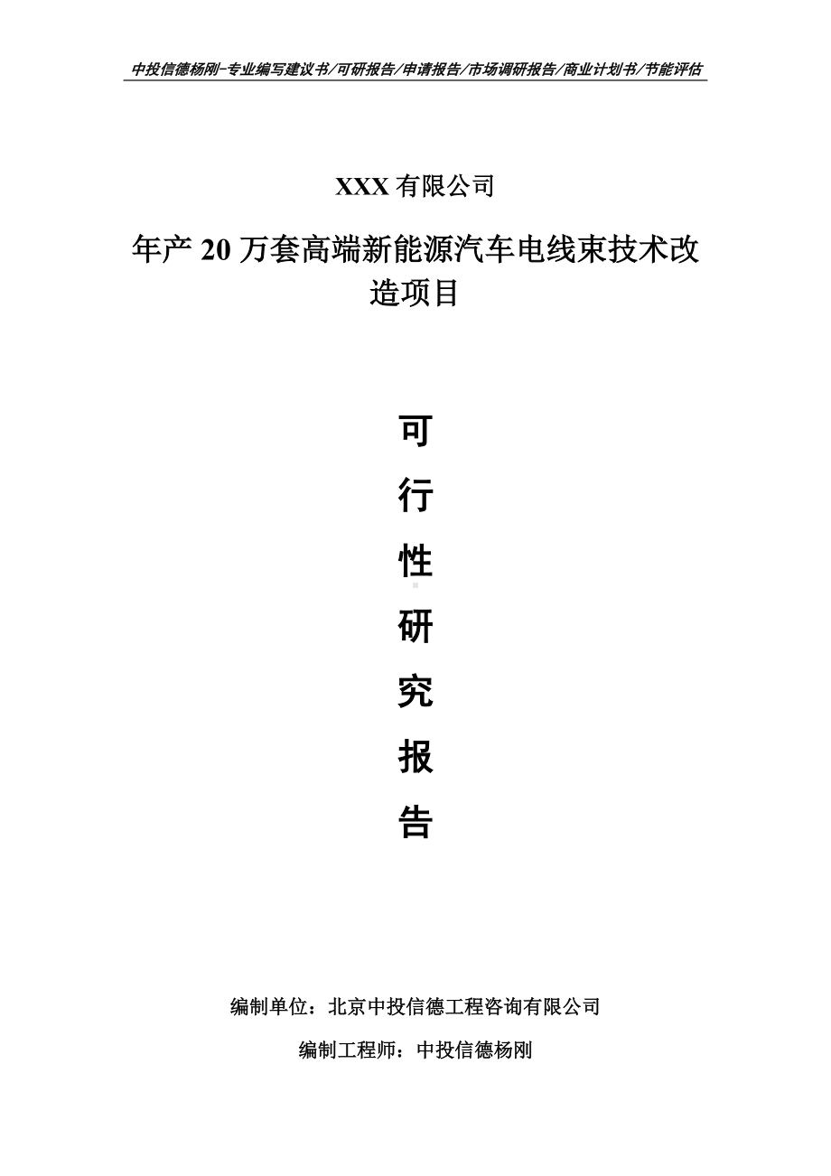 年产20万套高端新能源汽车电线束项目可行性研究报告申请建议书案例.doc_第1页