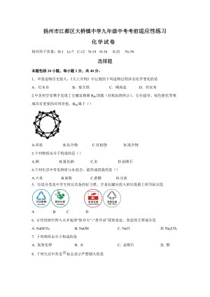 2022年江苏省扬州市江都区大桥镇考前适应性练习化学试卷 (3).docx