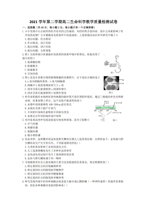 上海市长宁区2022届高三下学期二模考试 生物 试题 （含答案）.doc