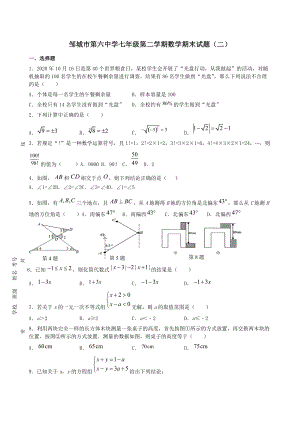 山东省邹城市第六2021—2022学年下学期七年级数学期末复习试题（二）.docx