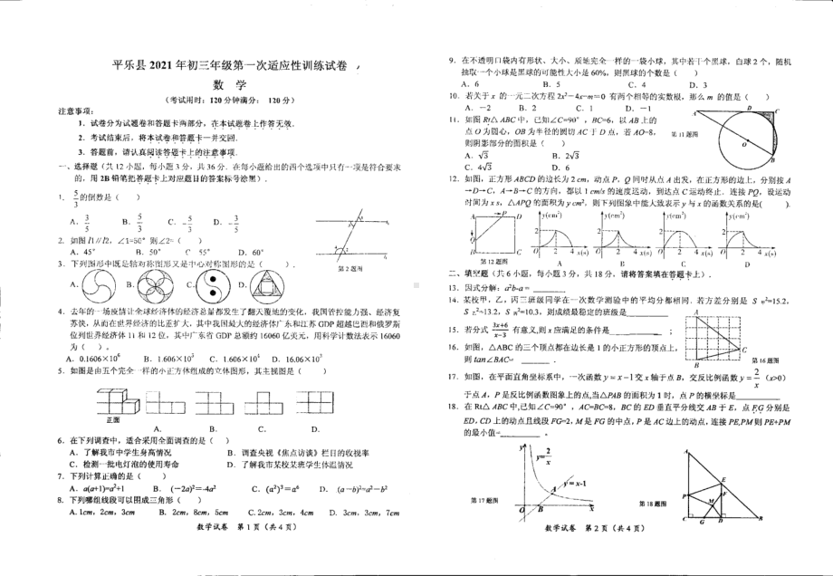 2021年广西桂林市平乐县 九年级第一次适应性训练试卷 .pdf_第1页