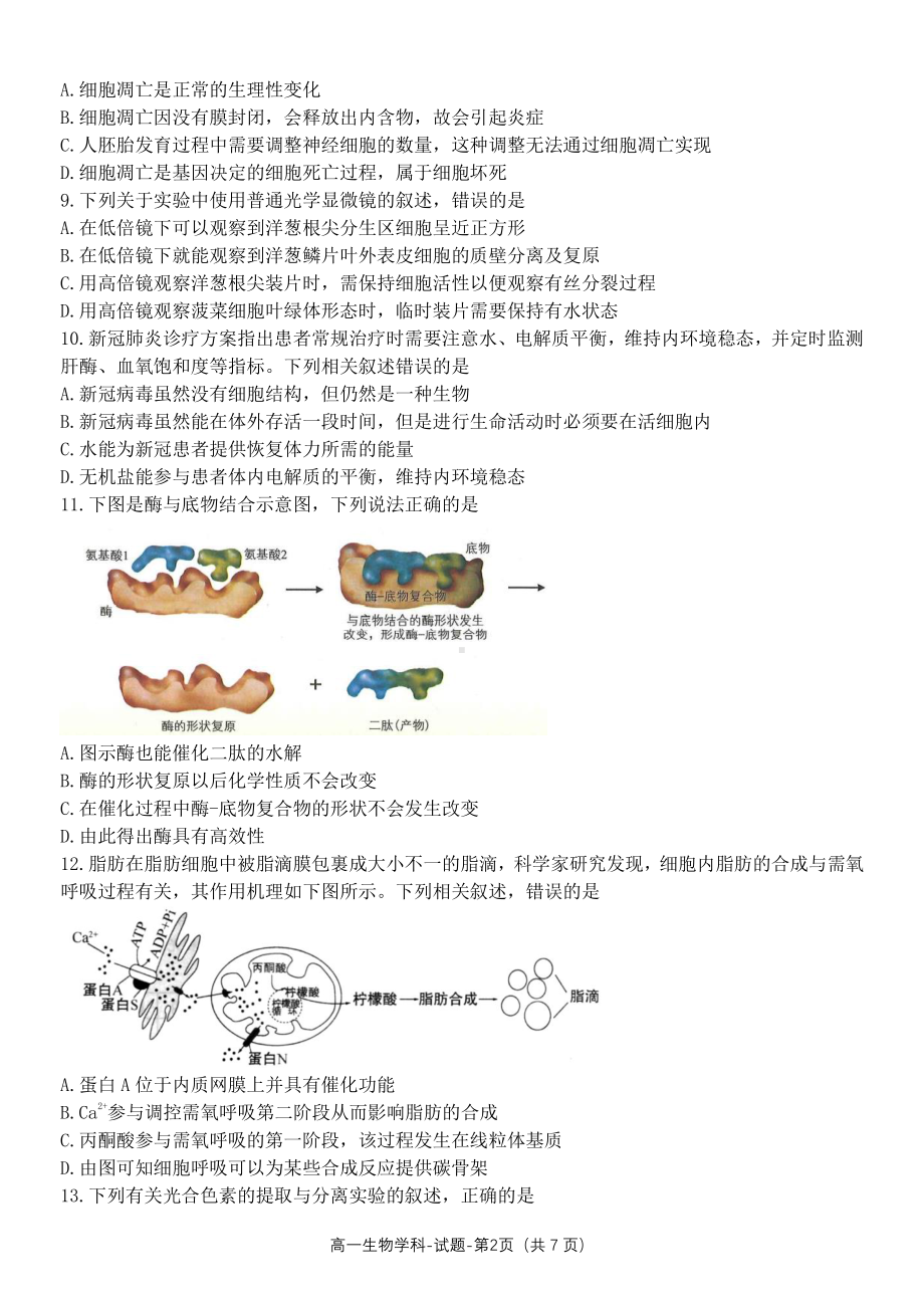 浙江省温州市环大罗山联盟2021-2022学年高一下学期期中联考生物试题.pdf_第2页