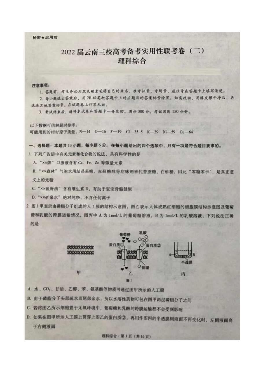 云南省三校2022届高三上学期11月高考备考实用性联考（二）理科综合试题含答案.pdf_第1页