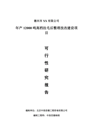 年产12000吨高档拉毛后整理技改项目可行性研究报告申请建议书.doc