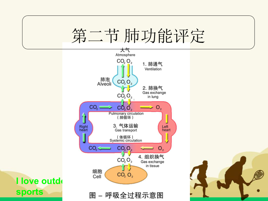 心肺功能评定tyPPT课件.ppt_第3页