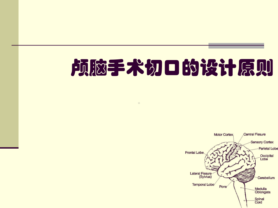 颅脑手术切口的设计原则课件.ppt_第1页