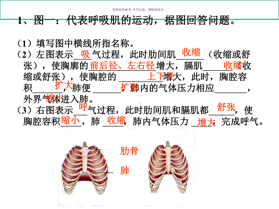 肺泡和血液的气体交换课件.ppt_第2页