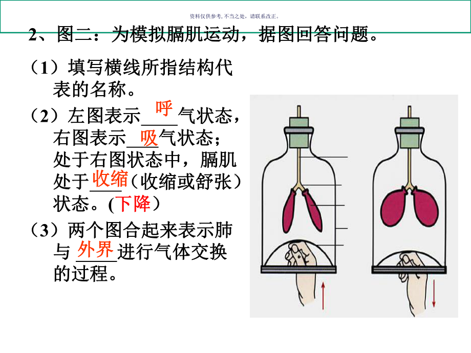 肺泡和血液的气体交换课件.ppt_第3页