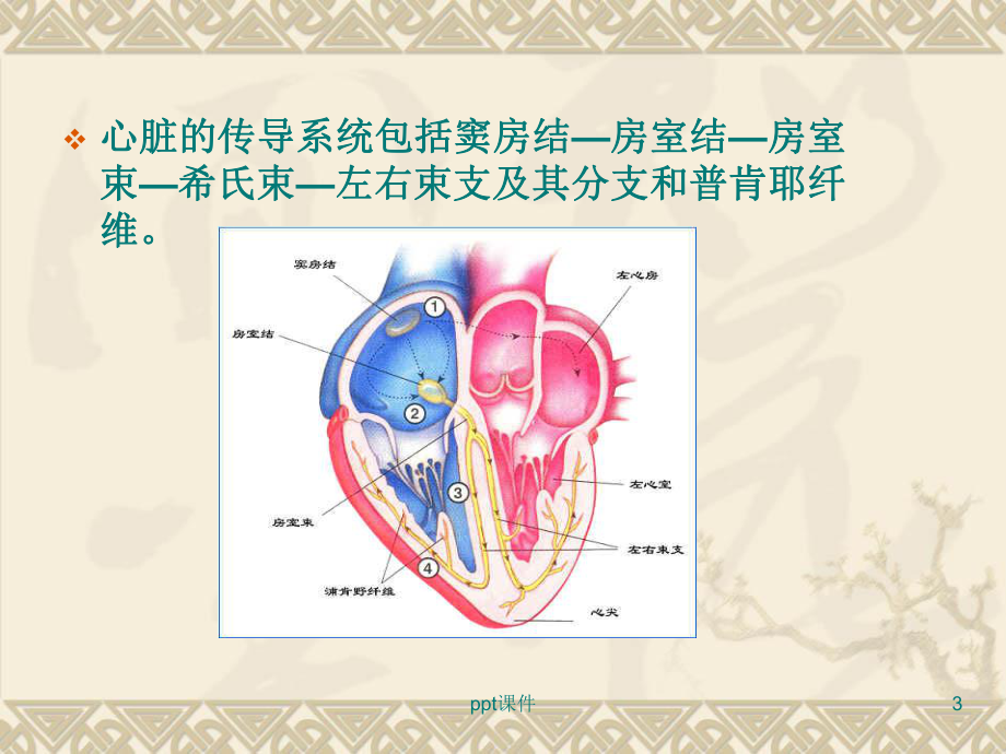 房室传导阻滞-ppt课件.ppt_第3页