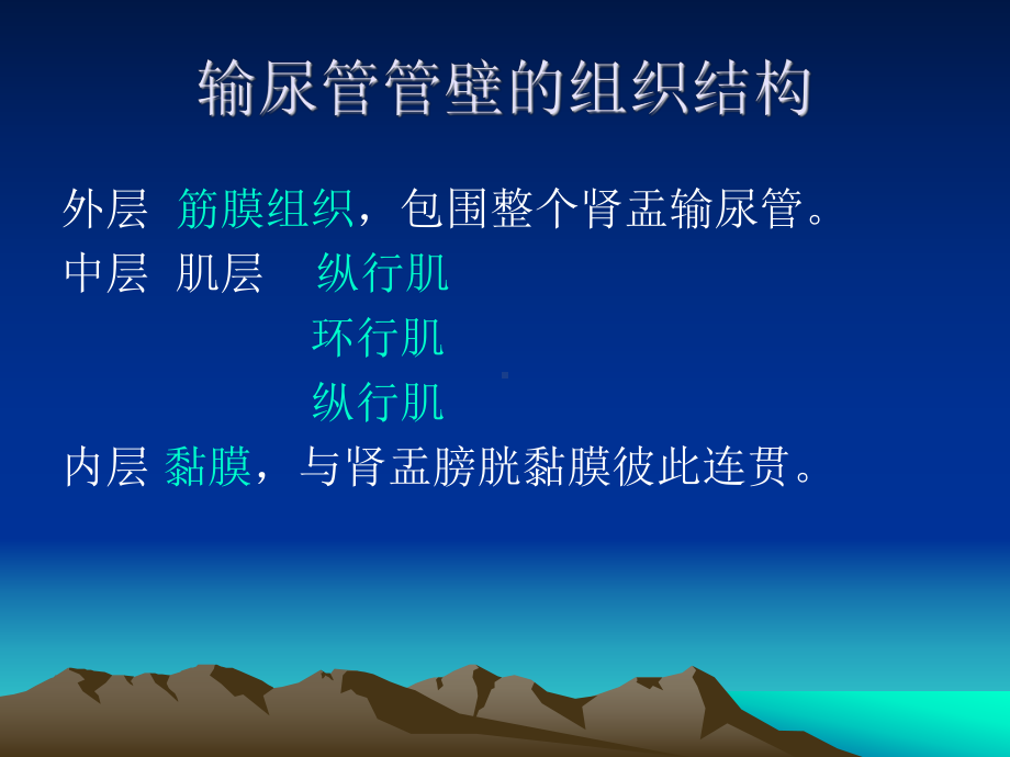 输尿管疾病的超声诊断PPT课件.ppt_第3页