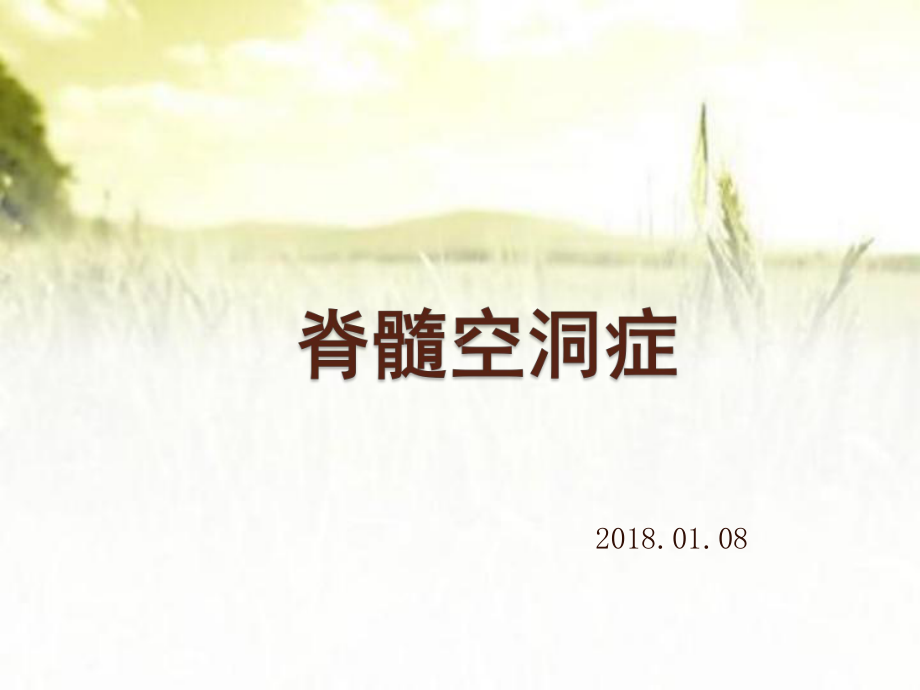 脊髓空洞症与中央管扩张-PPT课件.pptx_第1页