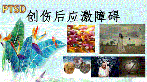 创伤后应激障碍ppt课件.pptx