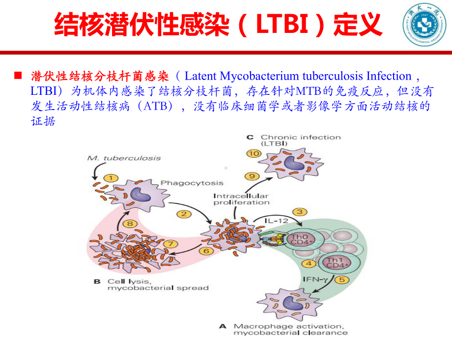 特殊病人的抗结核治疗(温州年会)课件.pptx_第3页