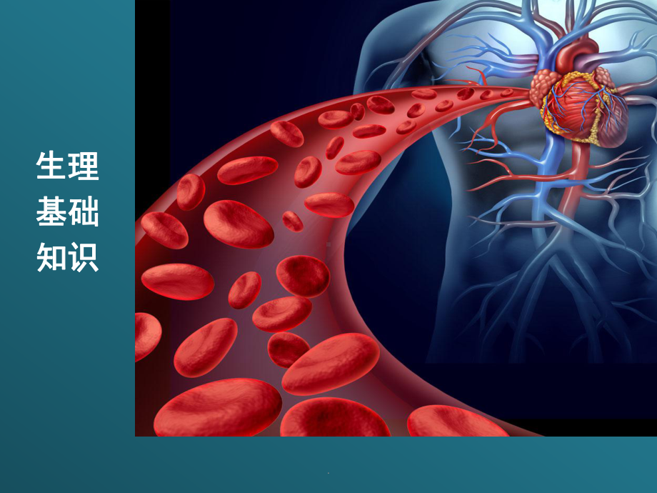 心血管系统基础知识1课件.pptx_第2页