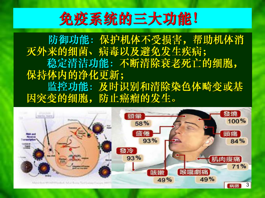 免疫力与人体健康ppt课件.ppt_第3页