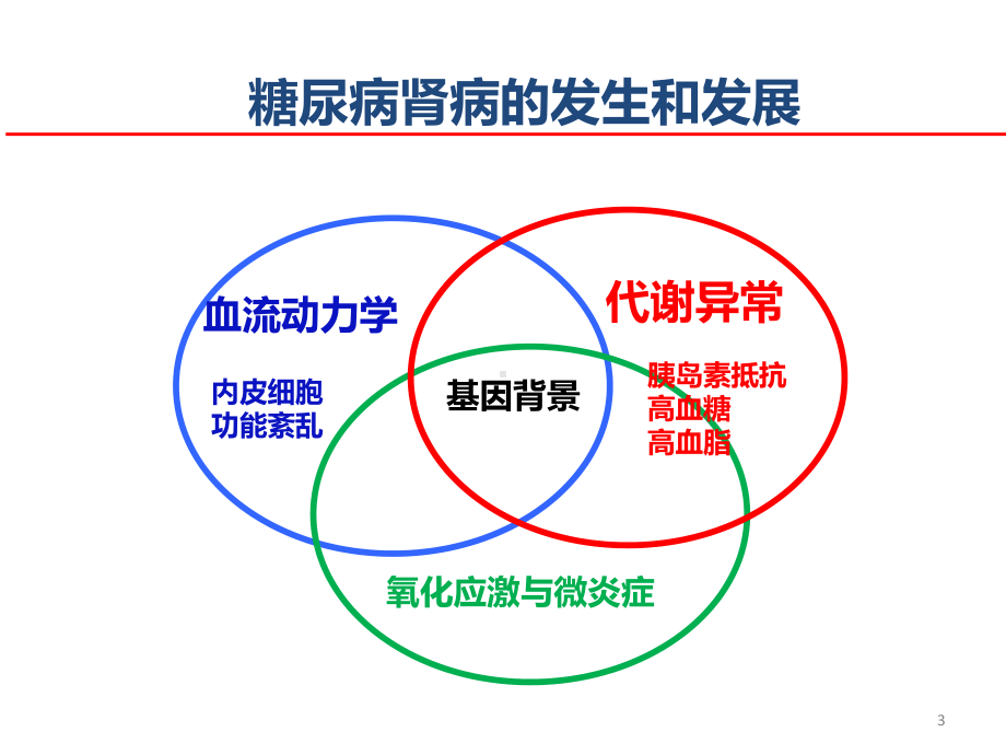 糖尿病肾病PPT课件.ppt_第3页