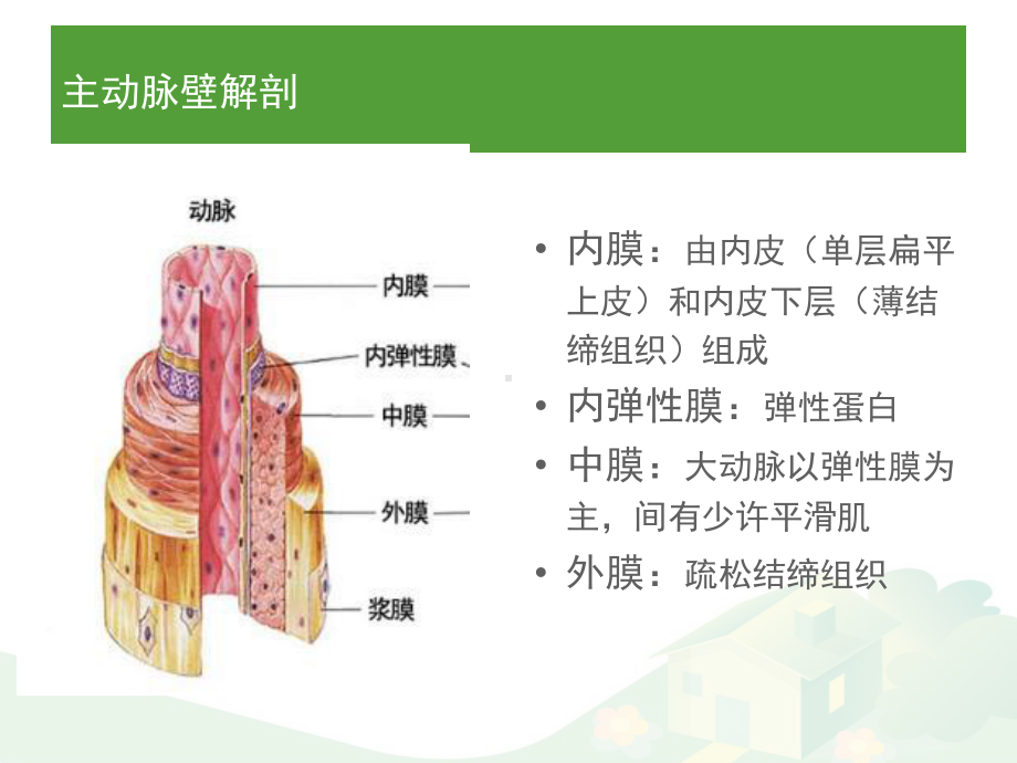 主动脉夹层影像诊断PPT课件.ppt_第2页