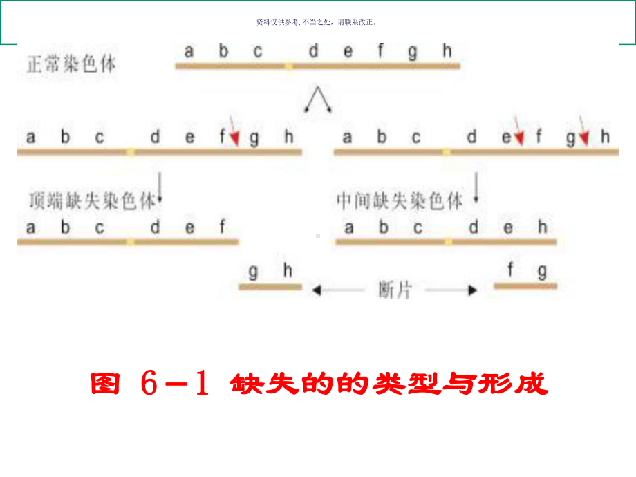 遗传学染色体结构变异课件.ppt_第3页