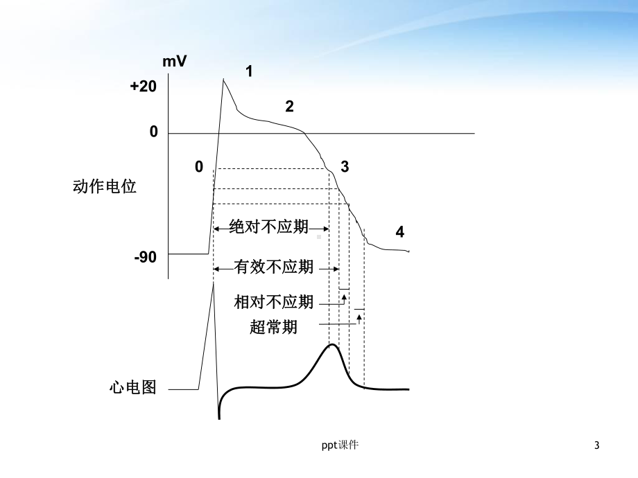 心电图STT改变的机制及鉴别诊断-ppt课件.ppt_第3页