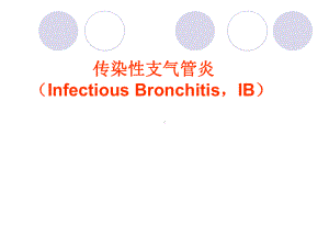 IB(传染性支气管炎)课件.ppt