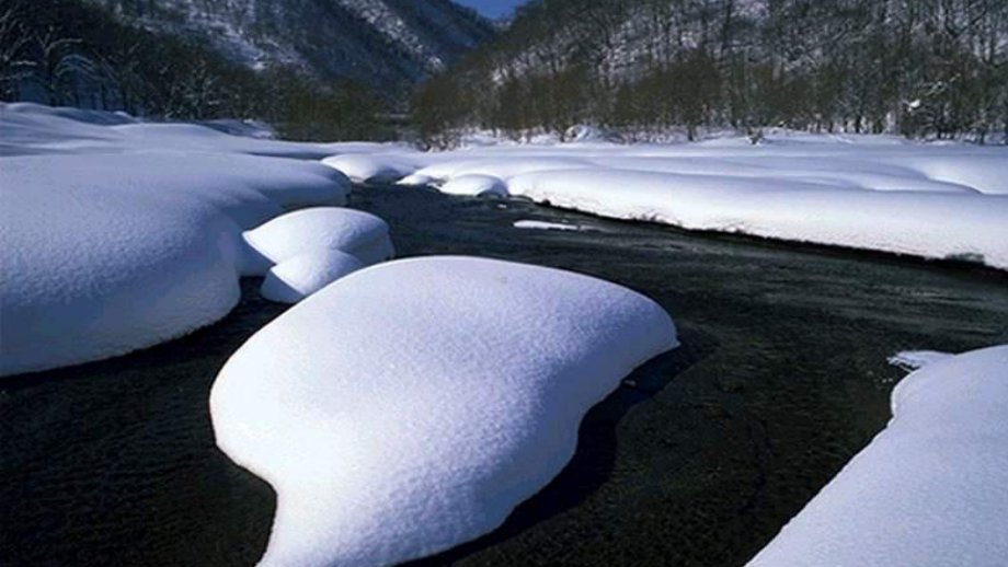 部编版九年级语文上册《湖心亭看雪》课件（集体备课教；定稿）.ppt_第3页