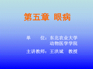 眼科手术67页PPT课件.ppt