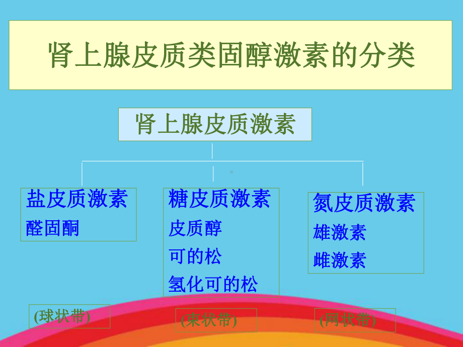 糖皮质激素历史、作用、结构和治疗肾病的进展课件.ppt_第3页