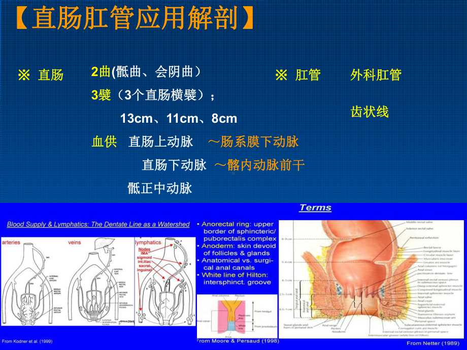 直肠肛管损伤诊断及处理课件.ppt_第3页