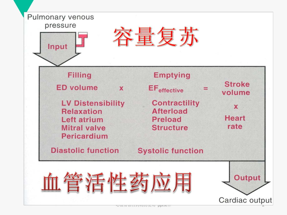 心血管活性药物的使用-ppt课件.ppt_第2页