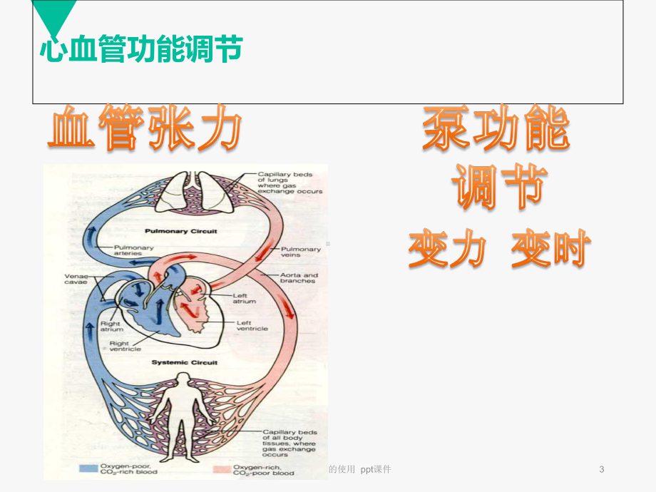 心血管活性药物的使用-ppt课件.ppt_第3页