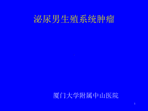 泌尿男生殖系统肿瘤1课件.ppt