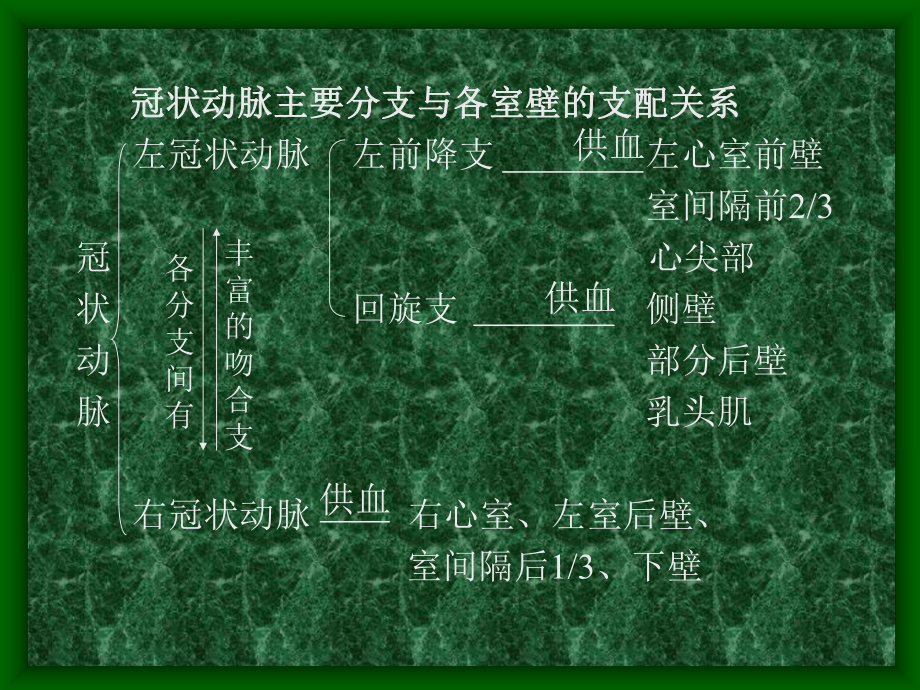 冠状动脉粥样硬化性心脏病冠心病的超声诊断韩建一课件.pptx_第2页