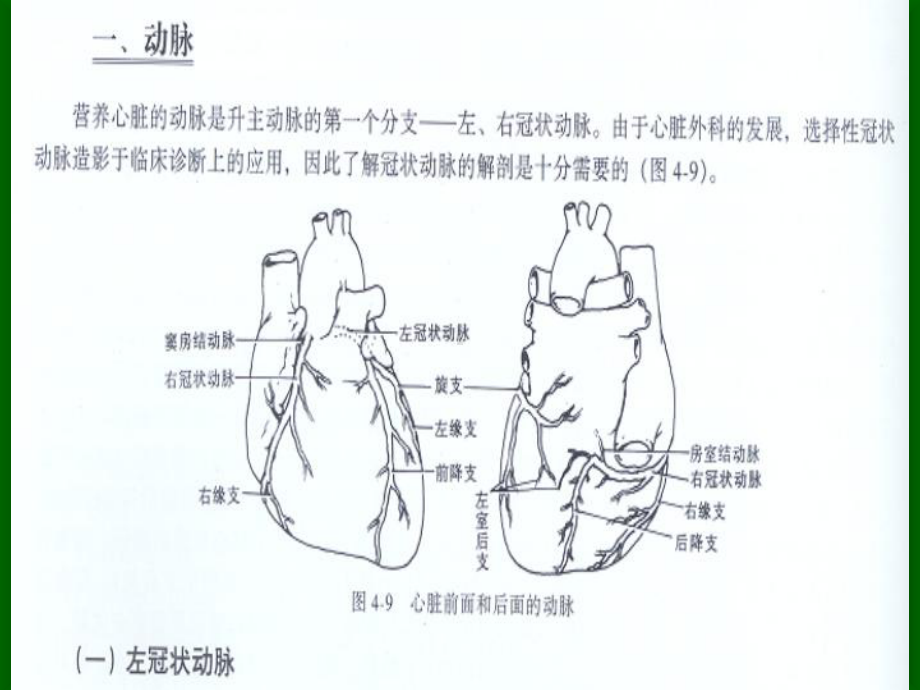 冠状动脉粥样硬化性心脏病冠心病的超声诊断韩建一课件.pptx_第3页