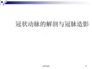 冠状动脉的解剖与冠脉造影课件.ppt