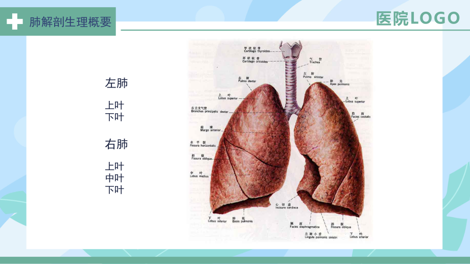 2022肺癌护理查房培训PPT课件（带内容）.ppt_第2页