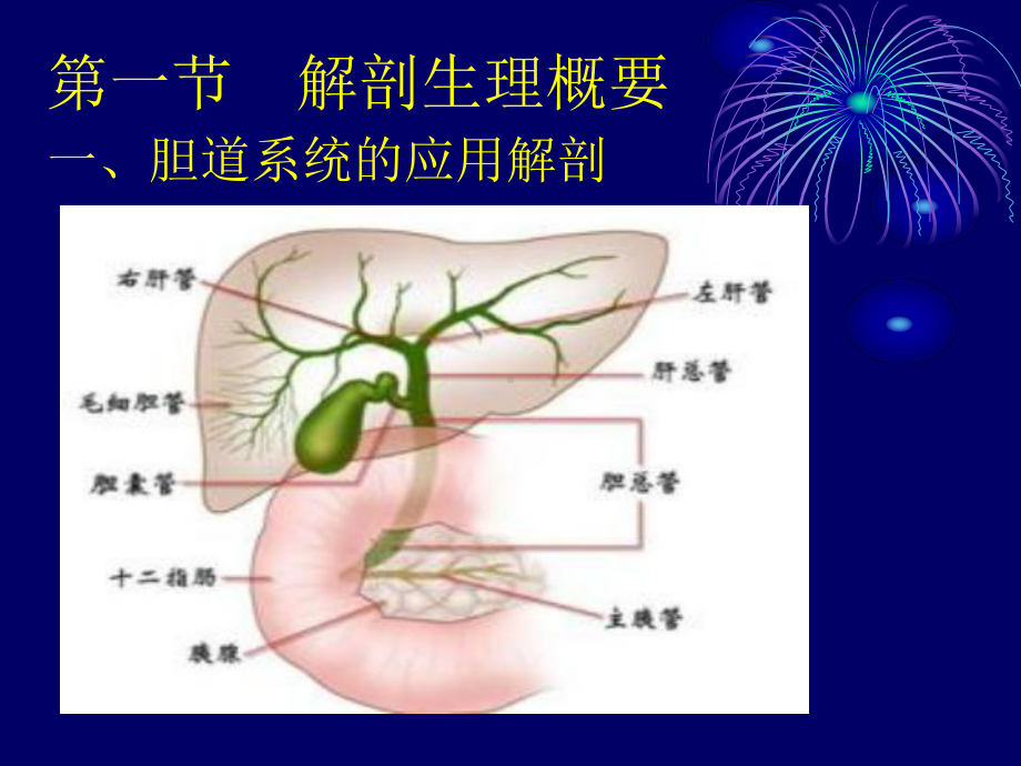 胆石症胆道感染--副本PPT课件.ppt_第1页