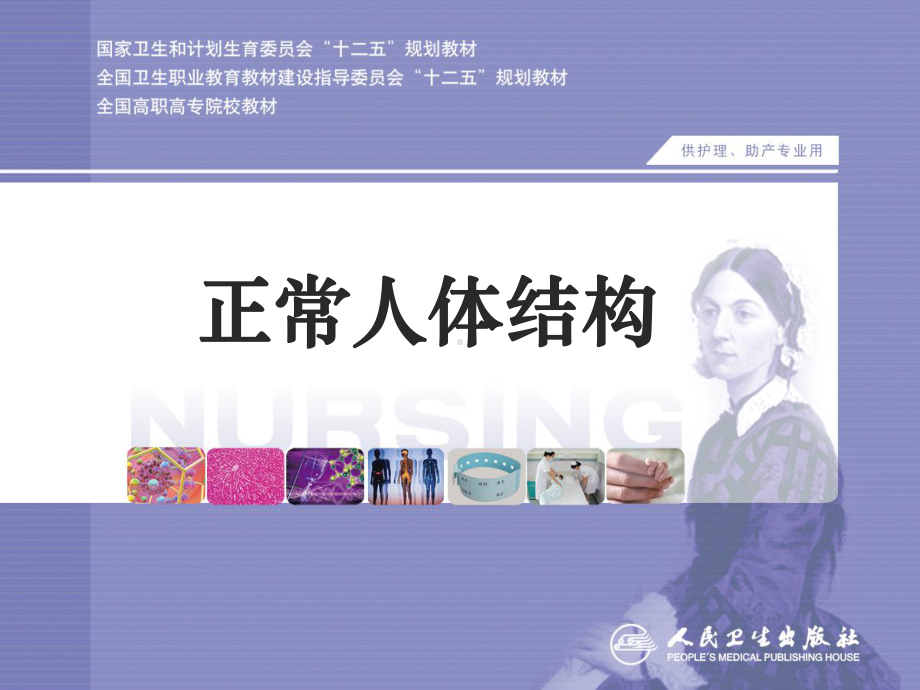 第十二章-女性生殖系统课件.ppt_第1页